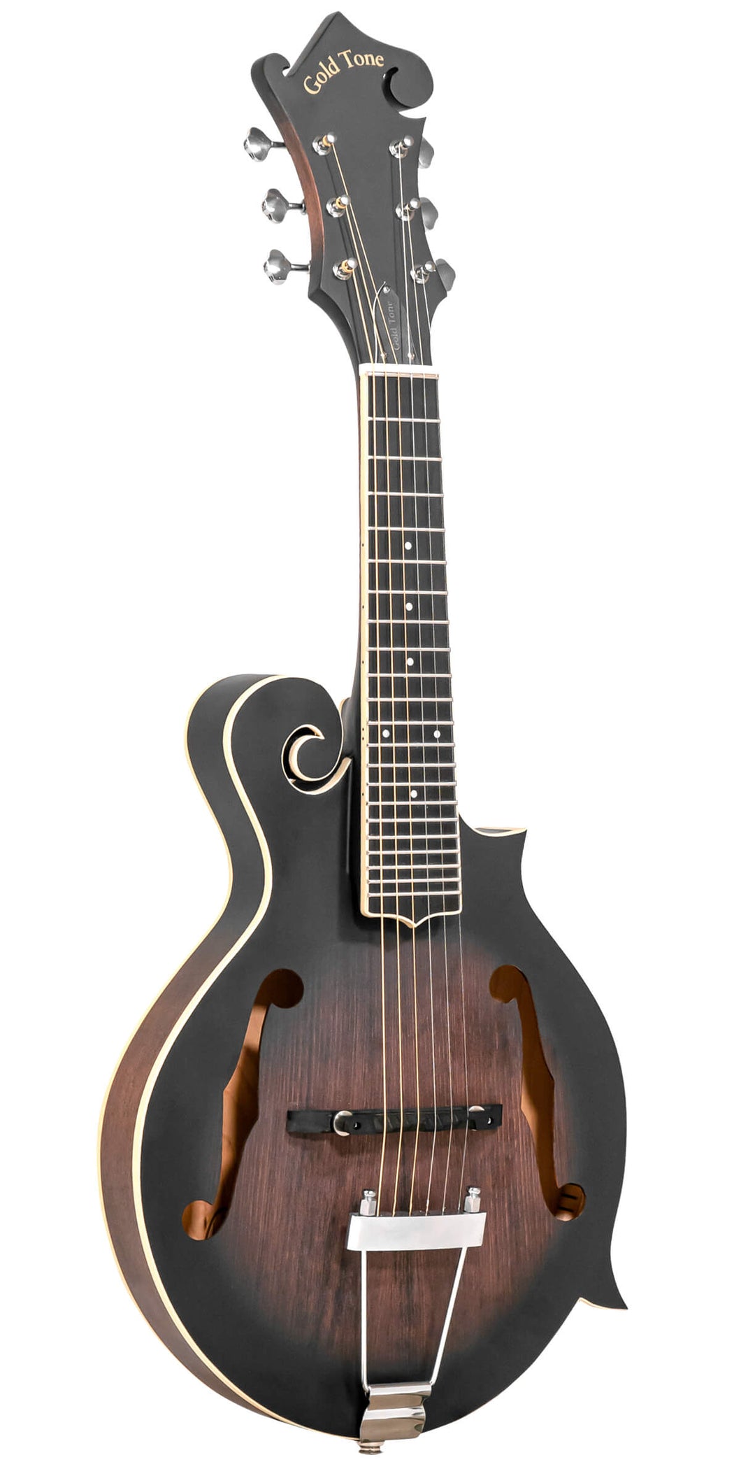 F6: F-Style Mando-Guitar with Pickup and Case