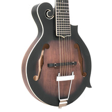 Load image into Gallery viewer, F12: 12-string F-Style Mando-Guitar with Pickup and Case
