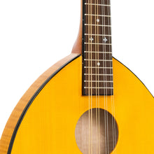 Load image into Gallery viewer, GM-10: Frypan Mandolin with Case
